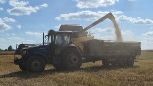 Ukraine and Russia’s grain harvest under threat amid Black sea attacks